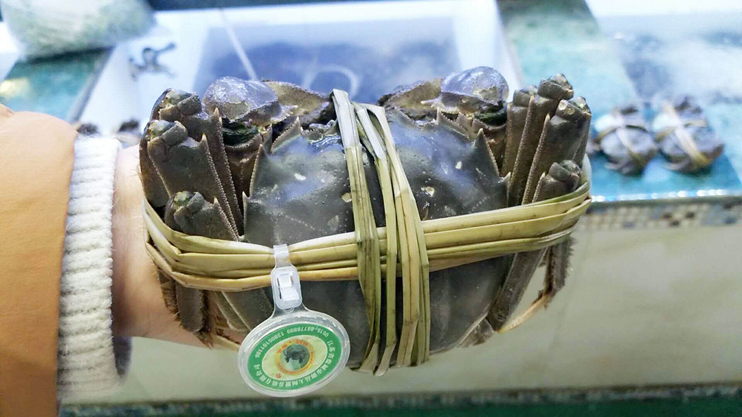 1600398078132086.jpg 大閘蟹圖2.jpg